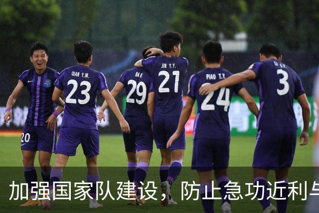 加强国家队建设，防止急功近利与腐败风险