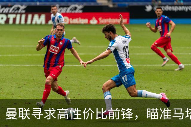 曼联寻求高性价比前锋，瞄准马塔诺维奇代替奥斯梅恩